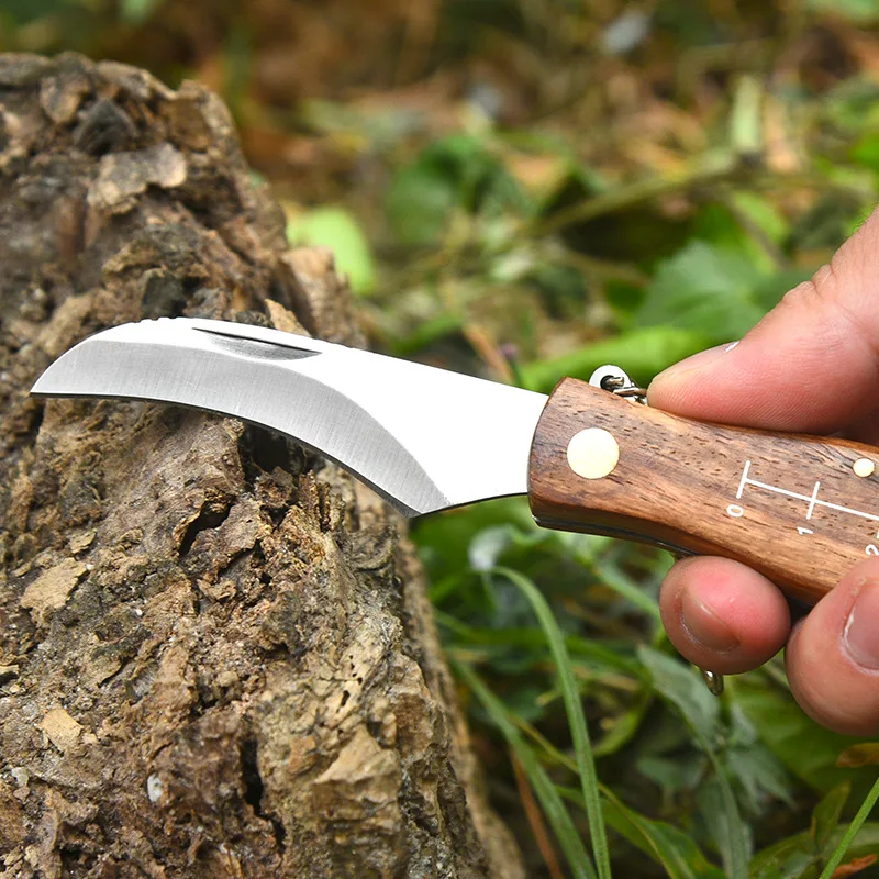 Многофункционален Сгъваем Нож-четка за външно мини-гъби ножа EDC с дървена дръжка от неръждаема стомана, Остър за къмпинг, лов, оцеляване Изображение 2