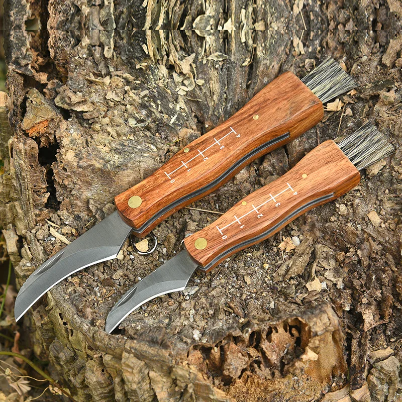 Многофункционален Сгъваем Нож-четка за външно мини-гъби ножа EDC с дървена дръжка от неръждаема стомана, Остър за къмпинг, лов, оцеляване Изображение 0