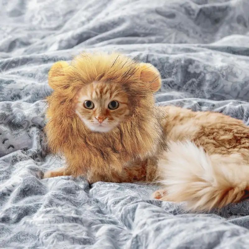 Котка Лъвската грива, Обичаи коте За Хелоуин костюм котка с Гъста козина Лъв, Грива за кучета и котки, парти, фотография, забавление Изображение 3